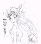 riesz4.gif
